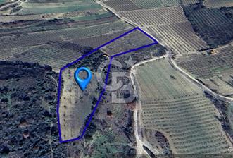 Çanakkale Lapseki’de Yola Cepheli, Meyve Ağaçlı Yatırımlık Tarla - 10 - 330330