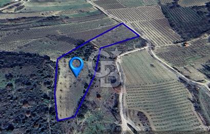 Çanakkale Lapseki’de Yola Cepheli, Meyve Ağaçlı Yatırımlık Tarla