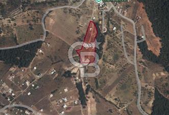 İzmir Damlacık Kömürcü Mevkii'nde Doğayla İç İçe Fırsat Arsa - 1 - 365680
