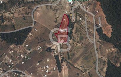 İzmir Damlacık Kömürcü Mevkii'nde Doğayla İç İçe Fırsat Arsa