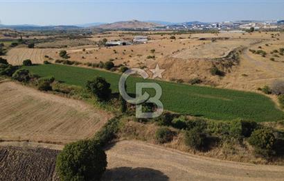 CB ODAK'TAN GÜZELHİSAR'da SATILIK 2.335 m² MÜSTAKİL TAPULU TARLA