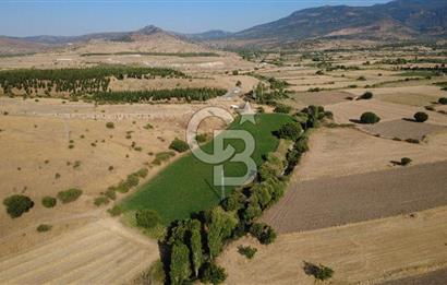 CB ODAK'TAN GÜZELHİSAR'da SATILIK 2.335 m² MÜSTAKİL TAPULU TARLA