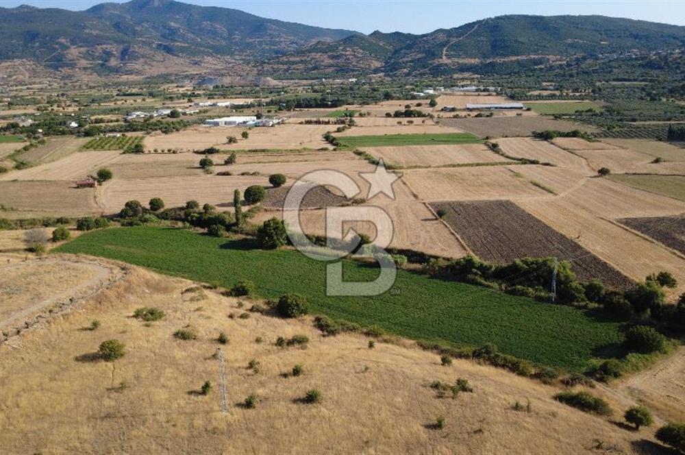 CB ODAK'TAN GÜZELHİSAR'da SATILIK 2.335 m² MÜSTAKİL TAPULU TARLA