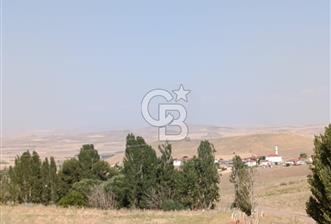 SATILIK BESİ ÇİFTLİĞİ İÇİN UYGUN RUHSATLI ARSA - 12 - 365684