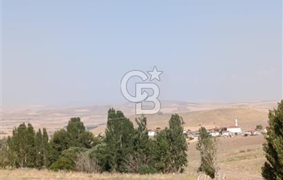 SATILIK BESİ ÇİFTLİĞİ İÇİN UYGUN RUHSATLI ARSA
