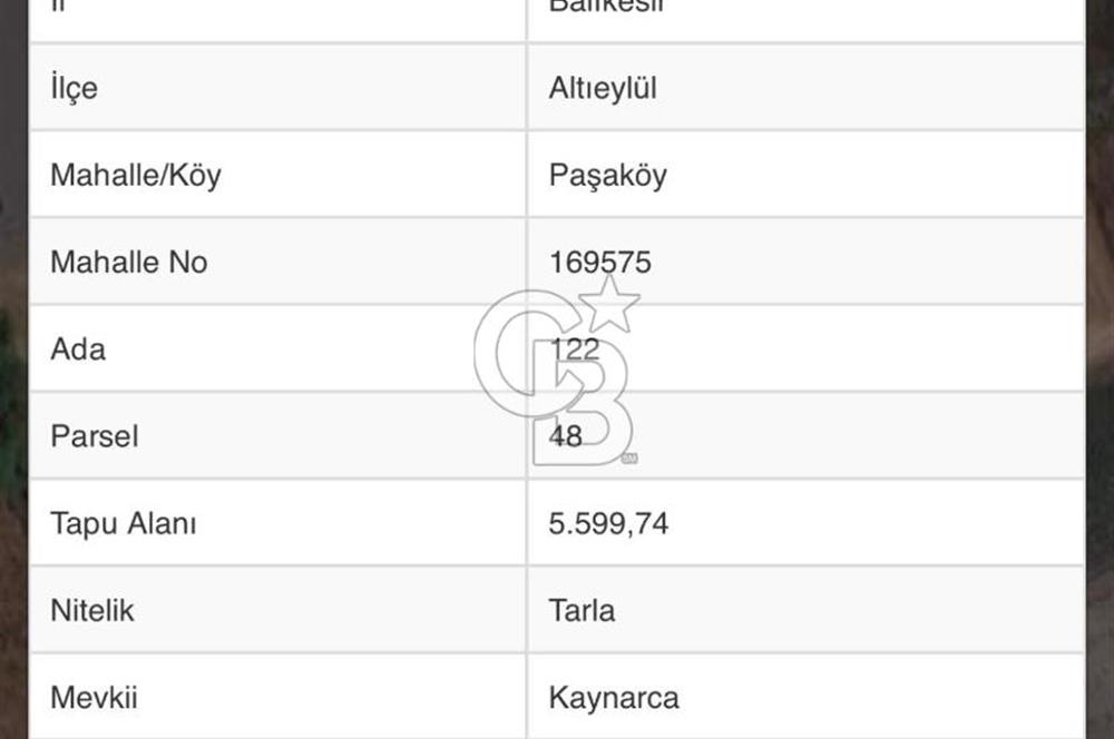 CB KİNG'DEN BALIKESİR/PAŞAKÖY MAHALLESİ 5600m² SATILIK TARLA