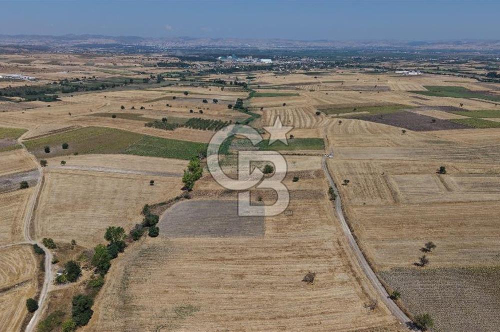 CB KİNG'DEN BALIKESİR/PAŞAKÖY MAHALLESİ 27905m² SATILIK TARLA