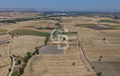 CB KİNG'DEN BALIKESİR/PAŞAKÖY MAHALLESİ 27905m² SATILIK TARLA