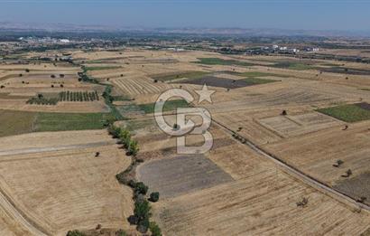 CB KİNG'DEN BALIKESİR/PAŞAKÖY MAHALLESİ 27905m² SATILIK TARLA