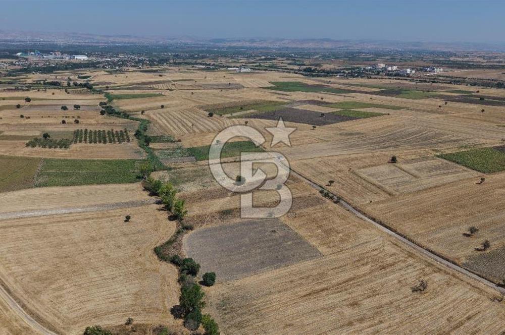 CB KİNG'DEN BALIKESİR/PAŞAKÖY MAHALLESİ 5600m² SATILIK TARLA