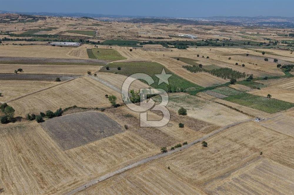 CB KİNG'DEN BALIKESİR/PAŞAKÖY MAHALLESİ 27905m² SATILIK TARLA
