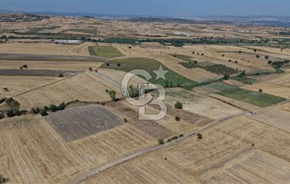 CB KİNG'DEN BALIKESİR/PAŞAKÖY MAHALLESİ 27905m² SATILIK TARLA