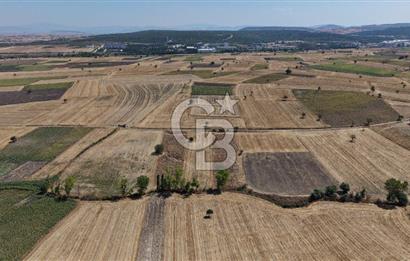 CB KİNG'DEN BALIKESİR/PAŞAKÖY MAHALLESİ 5600m² SATILIK TARLA