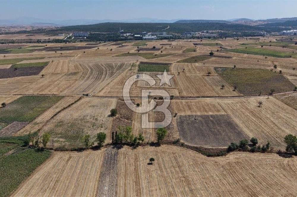 CB KİNG'DEN BALIKESİR/PAŞAKÖY MAHALLESİ 27905m² SATILIK TARLA