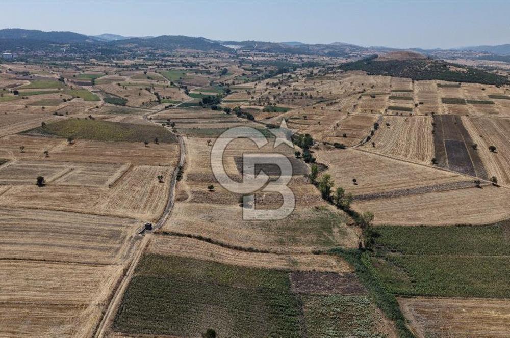 CB KİNG'DEN BALIKESİR/PAŞAKÖY MAHALLESİ 5600m² SATILIK TARLA
