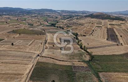 CB KİNG'DEN BALIKESİR/PAŞAKÖY MAHALLESİ 5600m² SATILIK TARLA