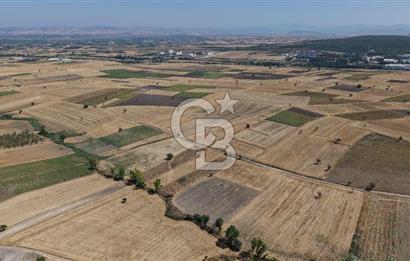 CB KİNG'DEN BALIKESİR/PAŞAKÖY MAHALLESİ 5600m² SATILIK TARLA