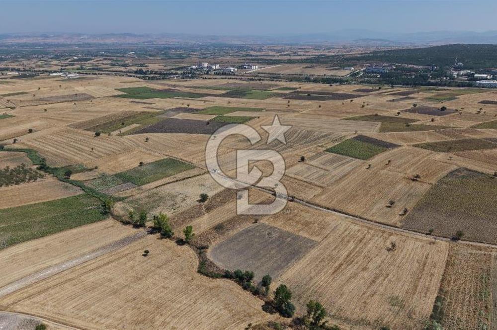CB KİNG'DEN BALIKESİR/PAŞAKÖY MAHALLESİ 27905m² SATILIK TARLA