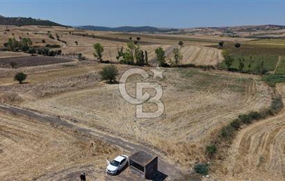 CB KİNG'DEN BALIKESİR/PAŞAKÖY MAHALLESİ 27905m² SATILIK TARLA