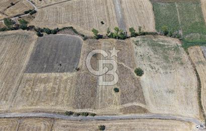 CB KİNG'DEN BALIKESİR/PAŞAKÖY MAHALLESİ 5600m² SATILIK TARLA
