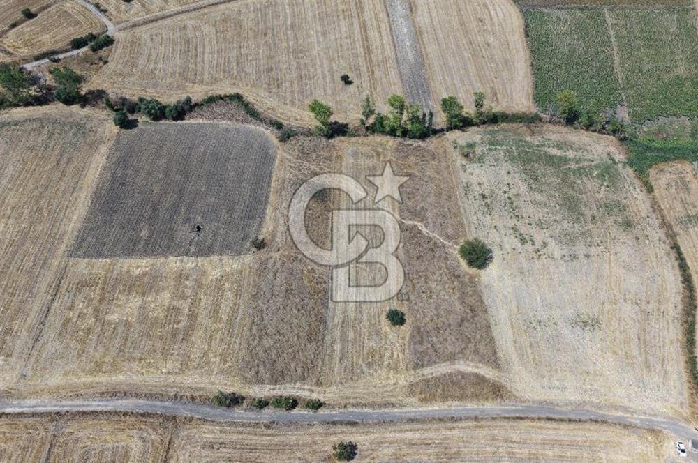 CB KİNG'DEN BALIKESİR/PAŞAKÖY MAHALLESİ 27905m² SATILIK TARLA