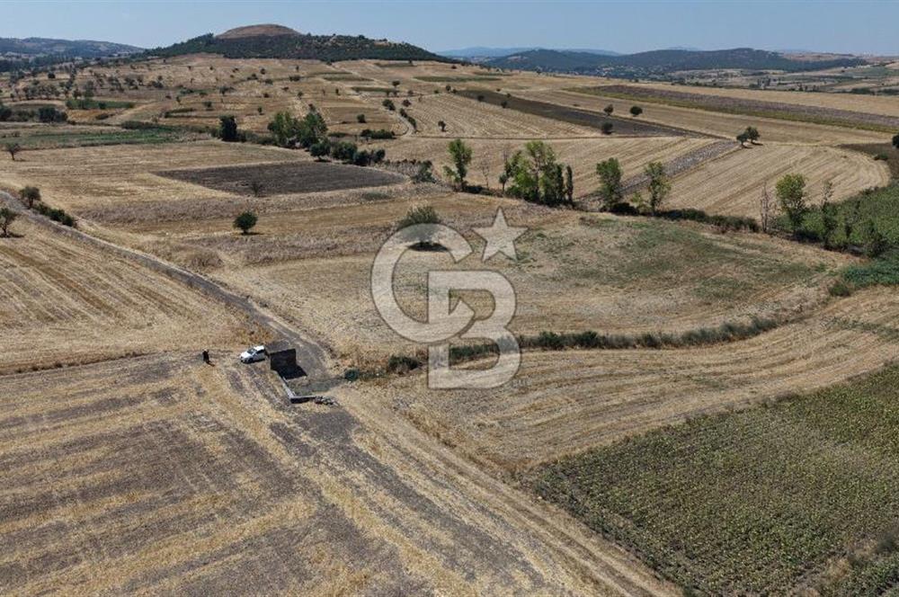 CB KİNG'DEN BALIKESİR/PAŞAKÖY MAHALLESİ 5600m² SATILIK TARLA