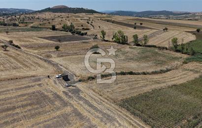CB KİNG'DEN BALIKESİR/PAŞAKÖY MAHALLESİ 5600m² SATILIK TARLA