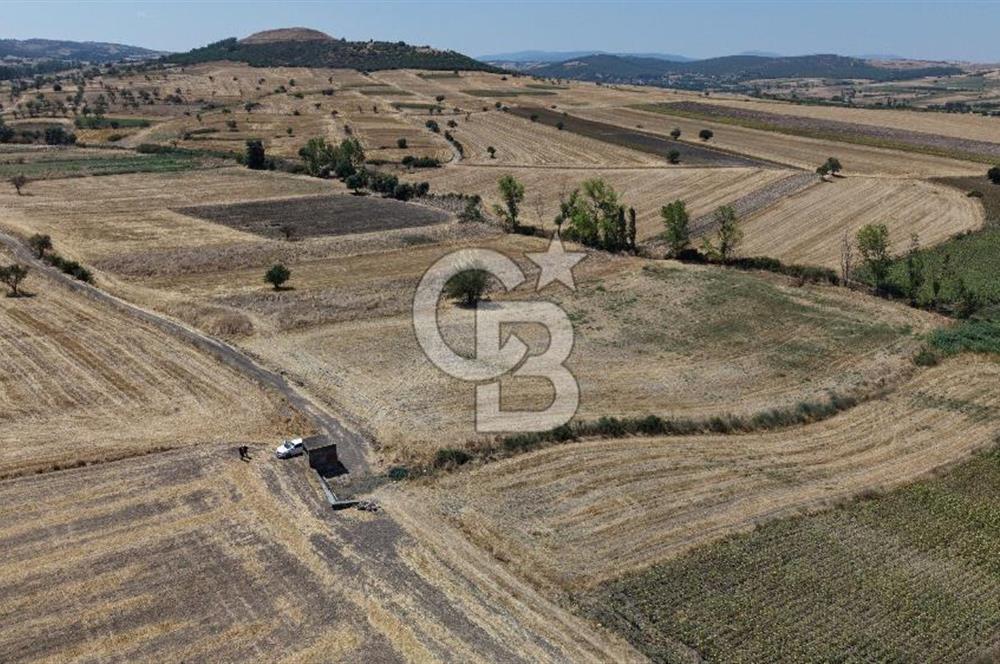 CB KİNG'DEN BALIKESİR/PAŞAKÖY MAHALLESİ 27905m² SATILIK TARLA