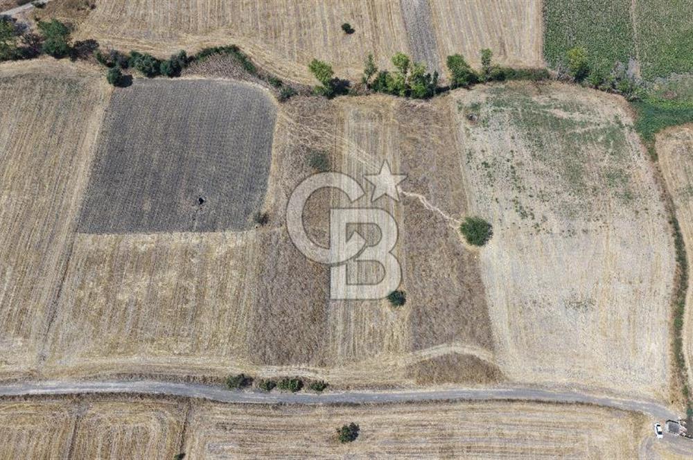 CB KİNG'DEN BALIKESİR/PAŞAKÖY MAHALLESİ 5600m² SATILIK TARLA