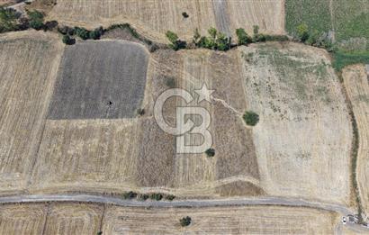 CB KİNG'DEN BALIKESİR/PAŞAKÖY MAHALLESİ 5600m² SATILIK TARLA