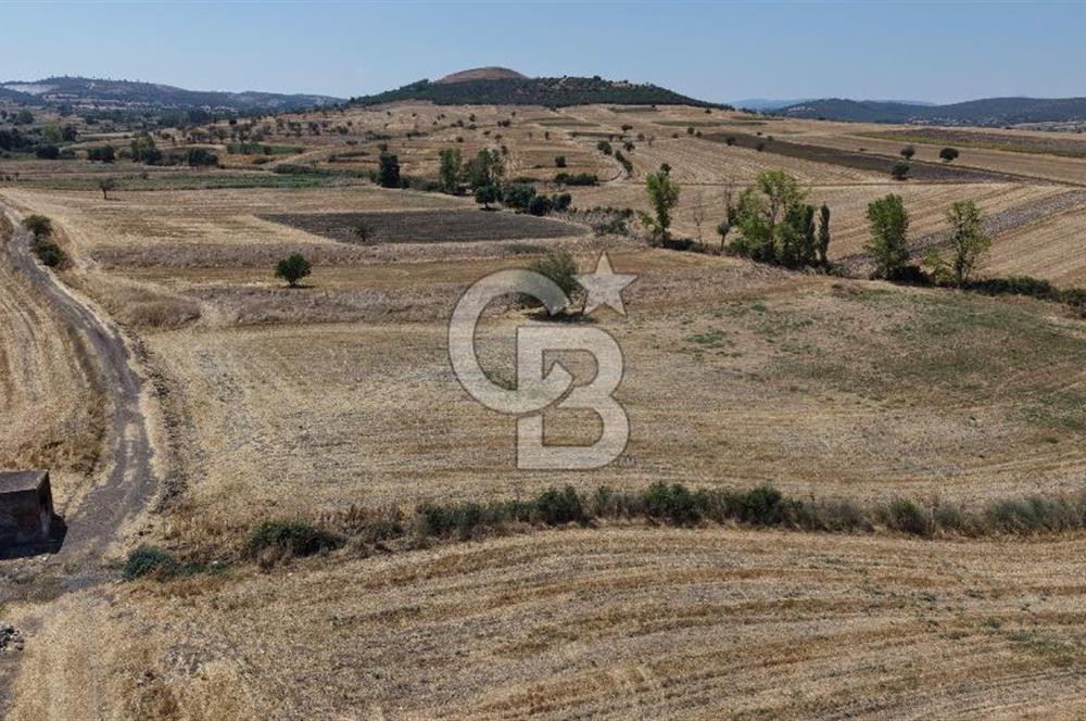 CB KİNG'DEN BALIKESİR/PAŞAKÖY MAHALLESİ 27905m² SATILIK TARLA