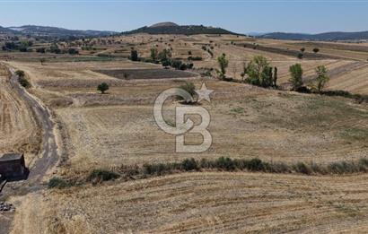 CB KİNG'DEN BALIKESİR/PAŞAKÖY MAHALLESİ 27905m² SATILIK TARLA