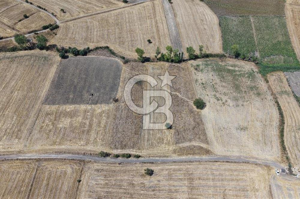 CB KİNG'DEN BALIKESİR/PAŞAKÖY MAHALLESİ 5600m² SATILIK TARLA