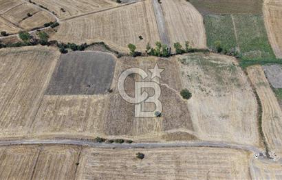 CB KİNG'DEN BALIKESİR/PAŞAKÖY MAHALLESİ 27905m² SATILIK TARLA