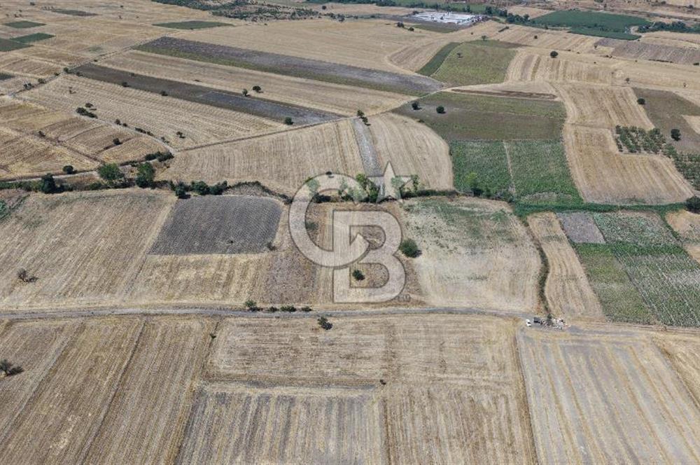 CB KİNG'DEN BALIKESİR/PAŞAKÖY MAHALLESİ 27905m² SATILIK TARLA