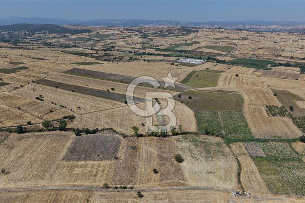 CB KİNG'DEN BALIKESİR/PAŞAKÖY MAHALLESİ 27905m² SATILIK TARLA