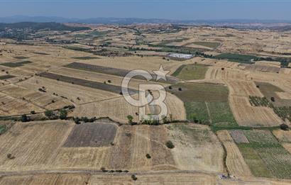 CB KİNG'DEN BALIKESİR/PAŞAKÖY MAHALLESİ 5600m² SATILIK TARLA