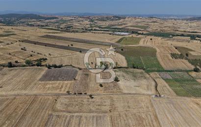 CB KİNG'DEN BALIKESİR/PAŞAKÖY MAHALLESİ 5600m² SATILIK TARLA