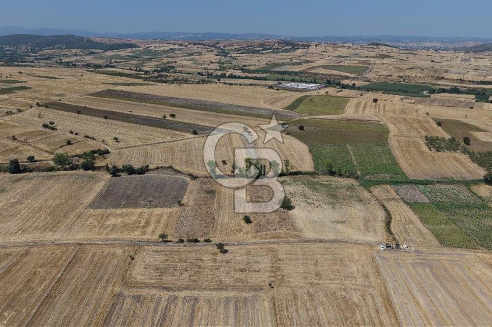 CB KİNG'DEN BALIKESİR/PAŞAKÖY MAHALLESİ 27905m² SATILIK TARLA