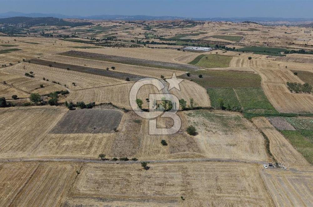 CB KİNG'DEN BALIKESİR/PAŞAKÖY MAHALLESİ 27905m² SATILIK TARLA