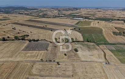 CB KİNG'DEN BALIKESİR/PAŞAKÖY MAHALLESİ 27905m² SATILIK TARLA
