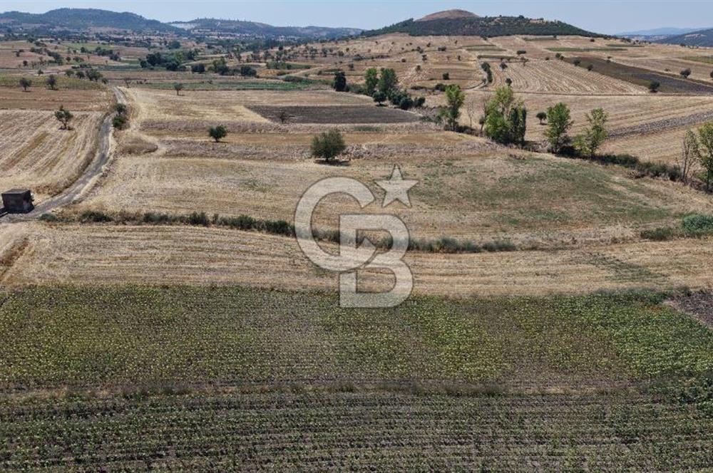 CB KİNG'DEN BALIKESİR/PAŞAKÖY MAHALLESİ 5600m² SATILIK TARLA