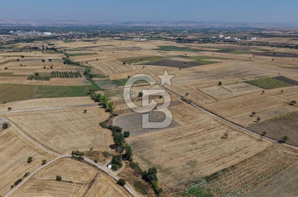 CB KİNG'DEN BALIKESİR/PAŞAKÖY MAHALLESİ 27905m² SATILIK TARLA