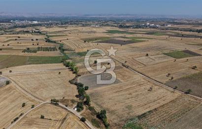 CB KİNG'DEN BALIKESİR/PAŞAKÖY MAHALLESİ 27905m² SATILIK TARLA