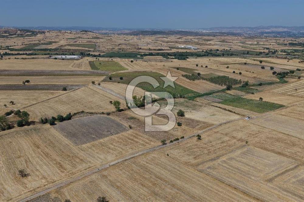 CB KİNG'DEN BALIKESİR/PAŞAKÖY MAHALLESİ 27905m² SATILIK TARLA