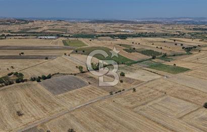 CB KİNG'DEN BALIKESİR/PAŞAKÖY MAHALLESİ 27905m² SATILIK TARLA