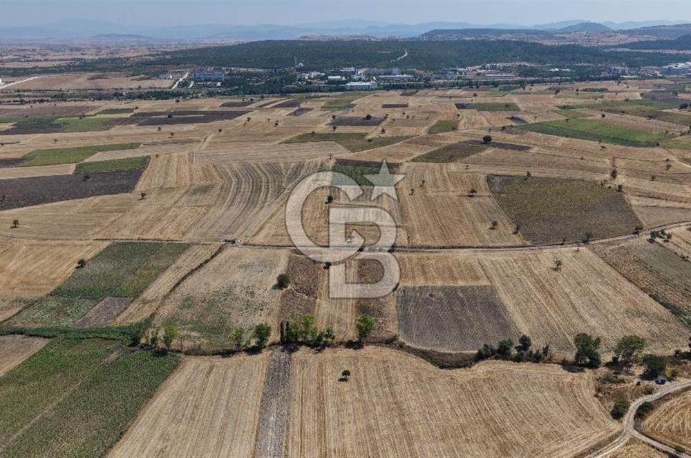 CB KİNG'DEN BALIKESİR/PAŞAKÖY MAHALLESİ 5600m² SATILIK TARLA