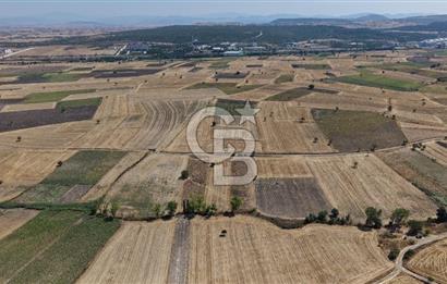 CB KİNG'DEN BALIKESİR/PAŞAKÖY MAHALLESİ 5600m² SATILIK TARLA