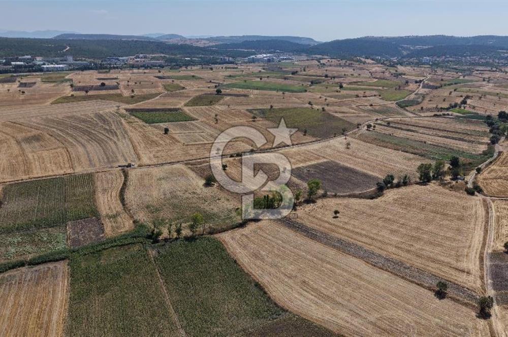 CB KİNG'DEN BALIKESİR/PAŞAKÖY MAHALLESİ 27905m² SATILIK TARLA