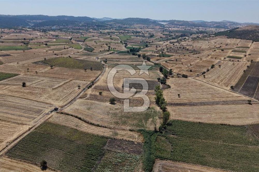 CB KİNG'DEN BALIKESİR/PAŞAKÖY MAHALLESİ 27905m² SATILIK TARLA